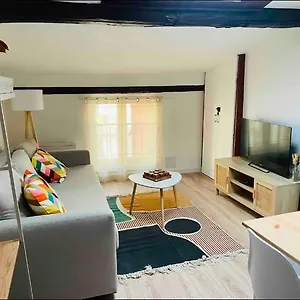 Le Grand Apartamento Castres (Tarn)